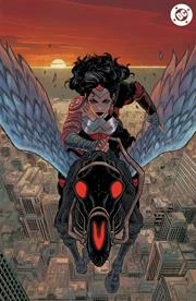 Cover of Third Printing CVR D Inc 1:25 Hayden Sherman Virgin Card Stock Var