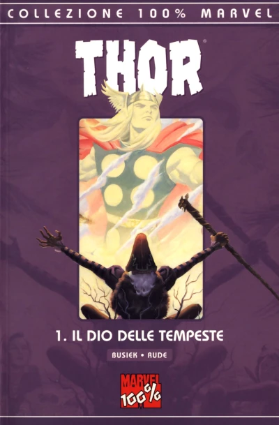 Cover of Il dio delle tempeste