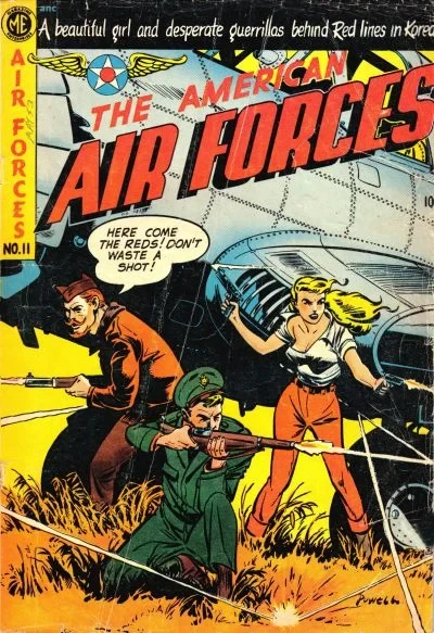 Cover of The American Air Forces #11