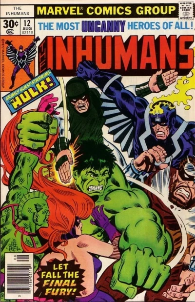 Cover of A Berserker Called Hulk!