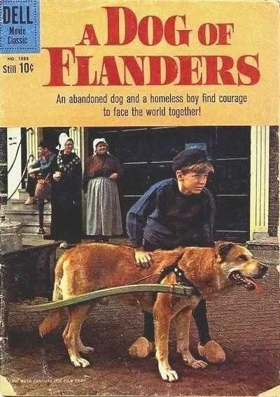 Cover of A Dog in Flanders