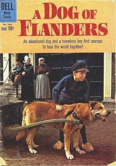 A Dog in Flanders