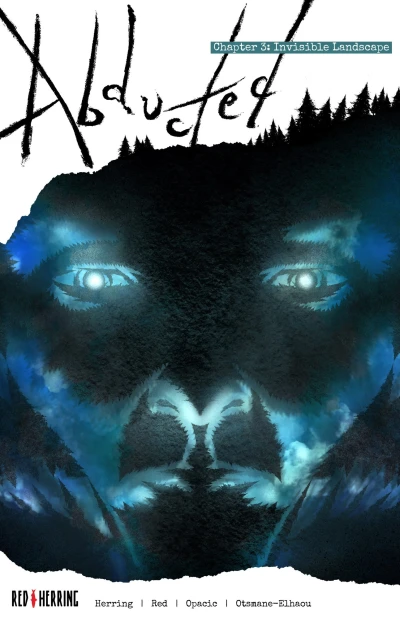 Cover of Invisible Landscape