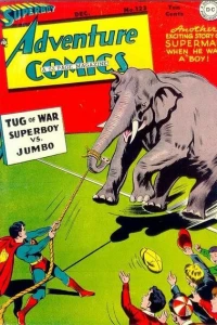 A Lesson for a Bully