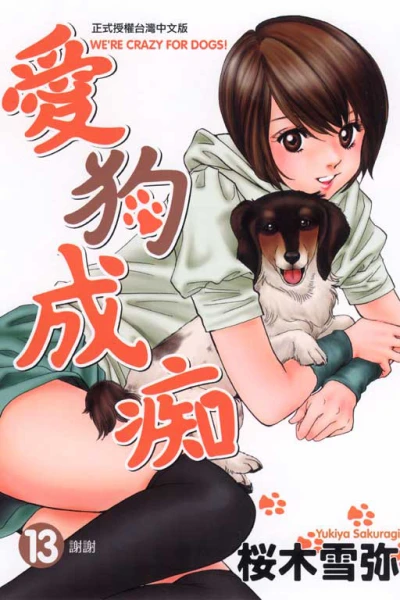 Cover of Vol. 13