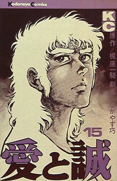 Cover of Vol. 15