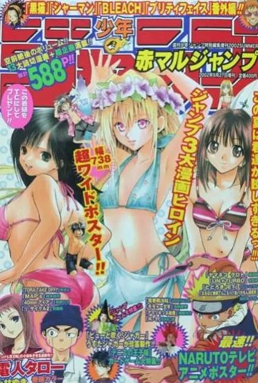 Cover of Summer 2002