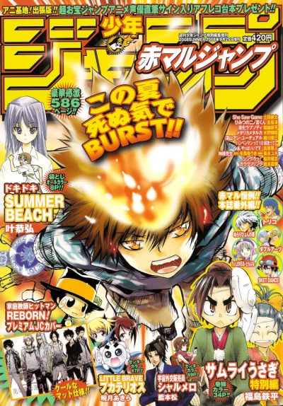 Cover of Summer 2008