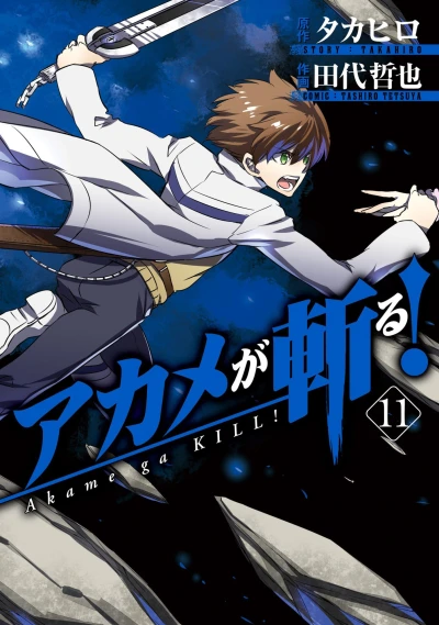 Cover of Vol. 11