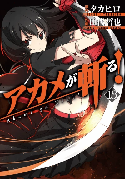 Cover of Vol. 13