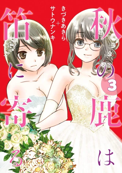 Cover of Vol. 3