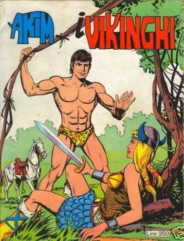Cover of I Vikinghi