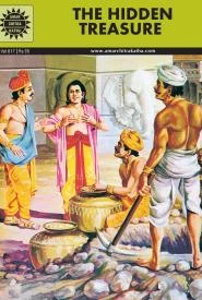 Cover of The Hidden Treasure