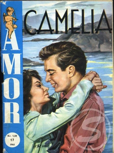 Cover of Issue #196117