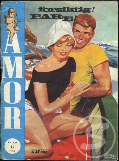 Cover of Issue #196317