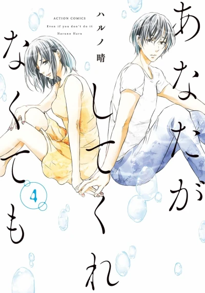 Cover of Volume 4