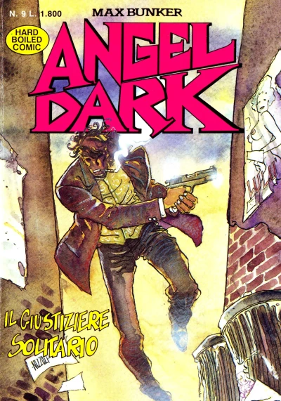 Cover of Il giustiziere solitario