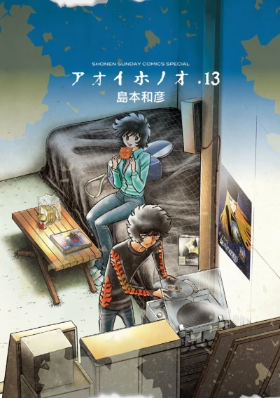 Cover of Vol. 13