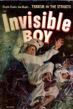 Invisible Boy