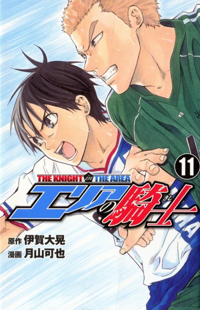 Cover of Volume 11