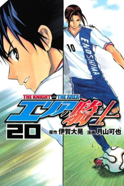 Cover of Volume 20