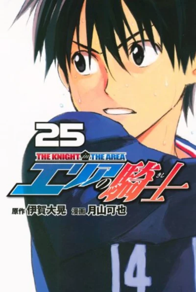 Cover of Volume 25