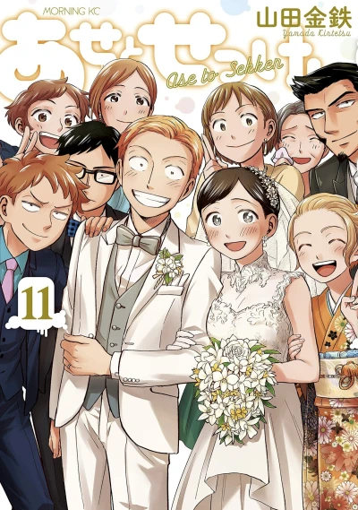 Cover of Vol. 11