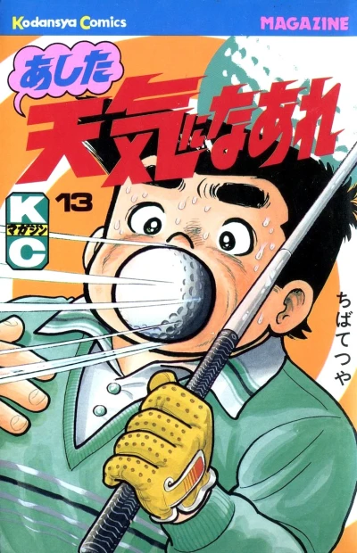 Cover of Vol. 13