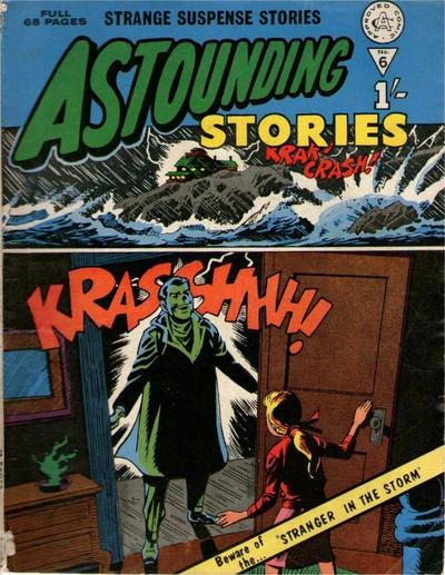 Cover of Stranger in the Storm