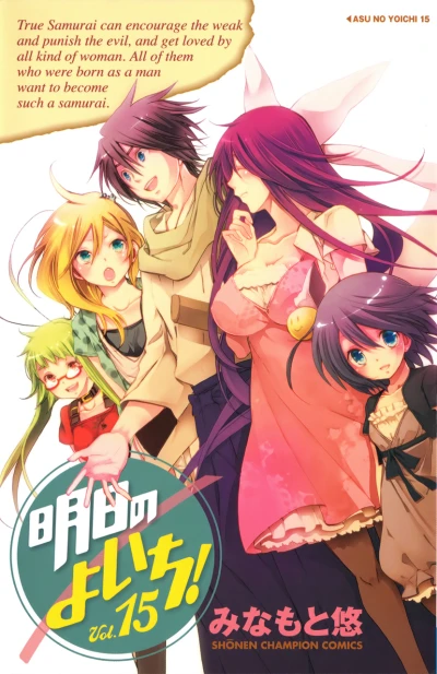 Cover of Vol. 15