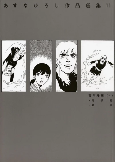 Cover of Seinen Manga (4)
