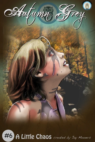 Cover of A Little Chaos