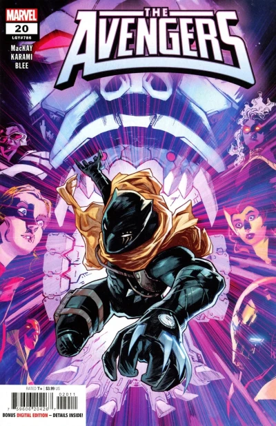 Cover of Panther Gang