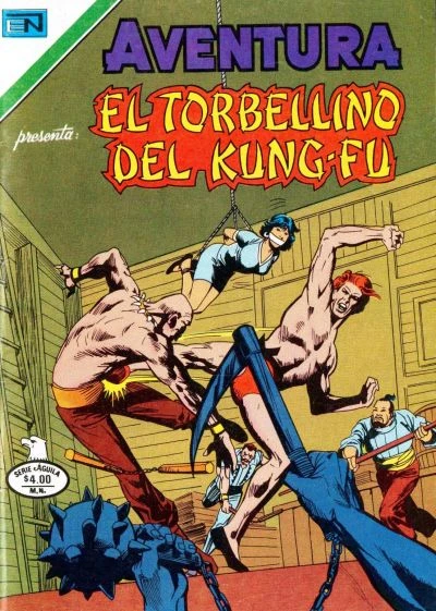 Cover of El Torbellino del Kung-Fu