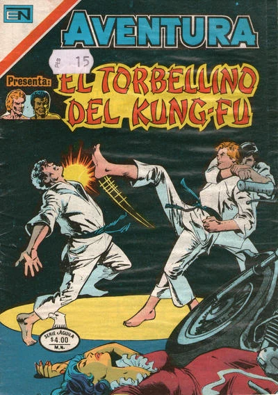 Cover of El Torbellino del Kung-Fu
