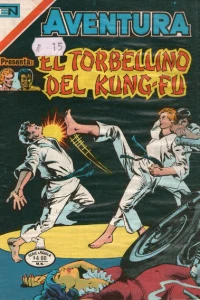 El Torbellino del Kung-Fu