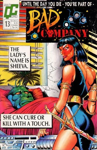 Cover of Bad Company 13