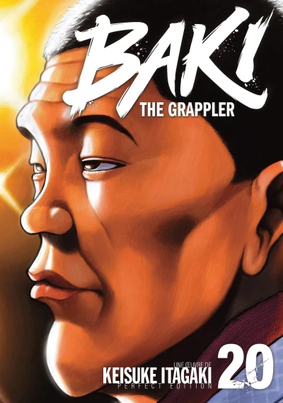 Cover of Vol. 20
