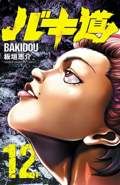 Cover of Vol. 12