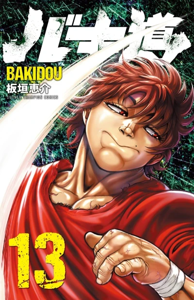 Cover of Vol. 13