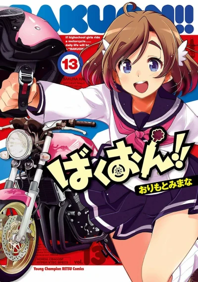 Cover of Volume 13