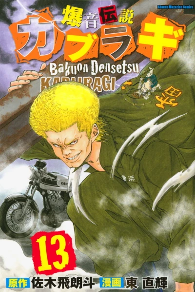 Cover of Vol. 13