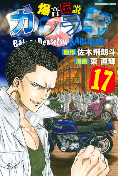 Cover of Vol. 17