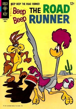 Cover of Fun on the Run