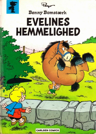Cover of Evelines hemmelighed