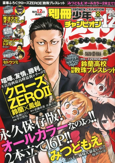 Cover of No. 12, 2013