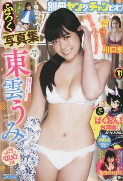 Cover of No. 11, 2022