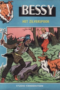 Het Zilverspoor