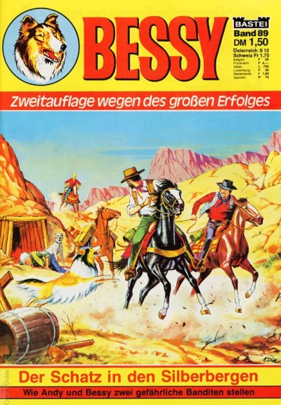 Cover of Der Schatz in Silberbergen