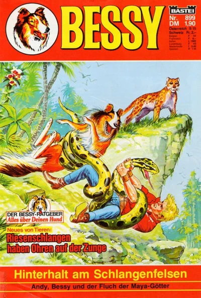 Cover of Hinterhalt am Schlangenfelsen